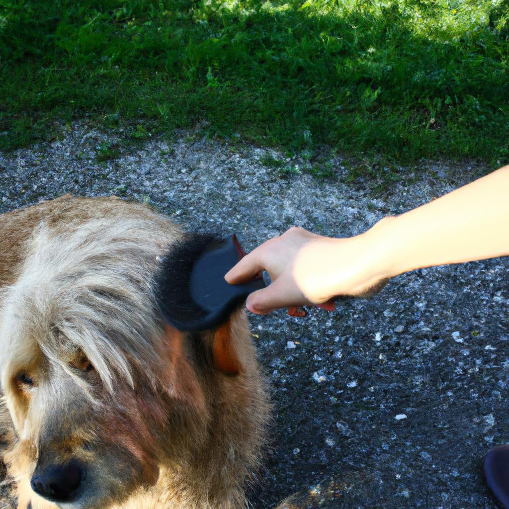 Person brushing a dog's fur