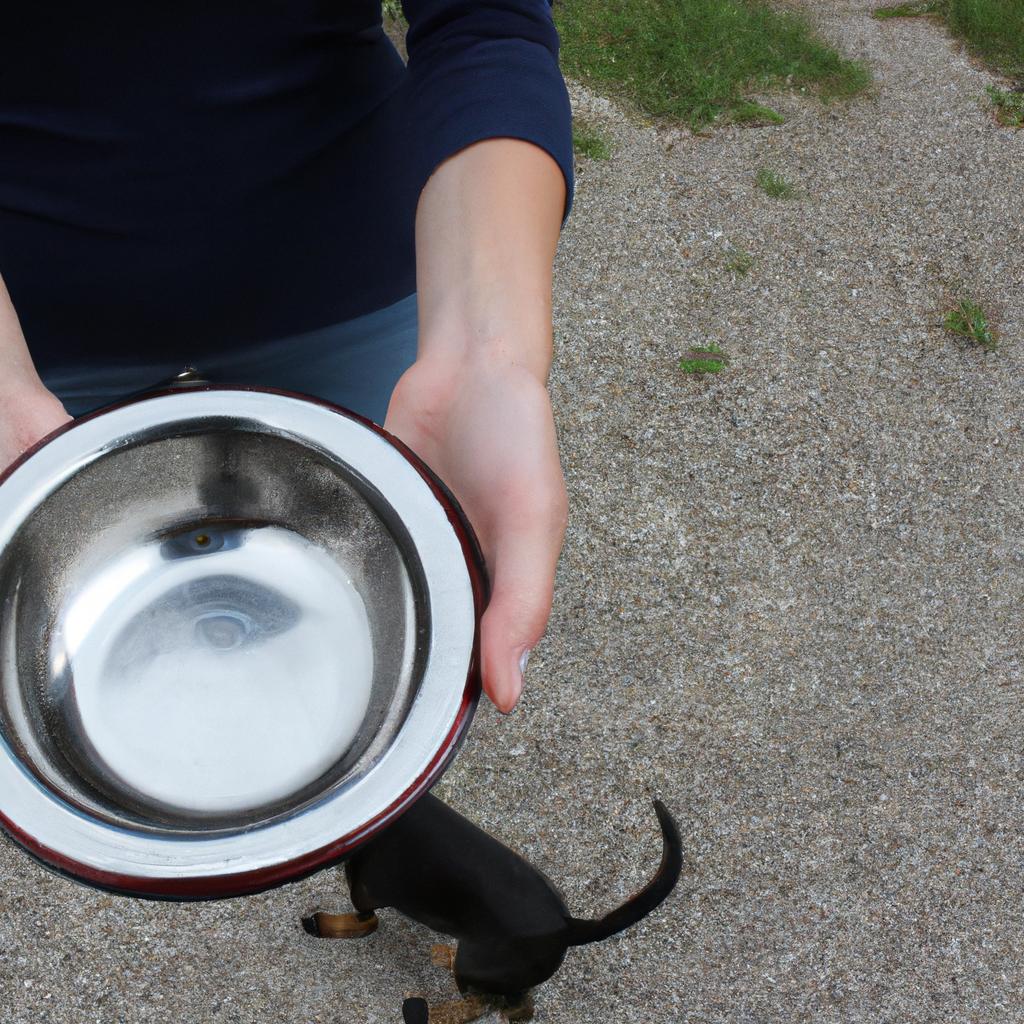 Person holding a dog's bowl