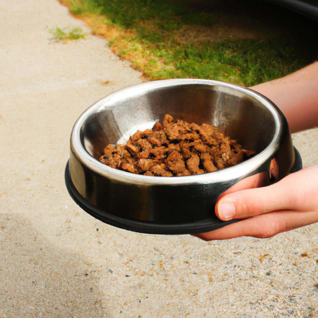Person holding dog food bowl
